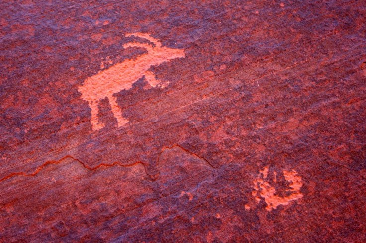 Petroglyphs at Wire Pass