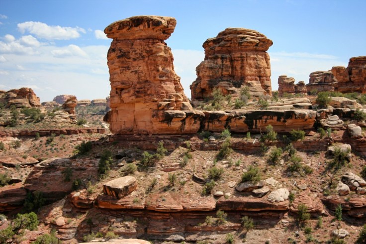 Various layers of Cedar Mesa sandstone erode at different rates to create these unusual rock formations