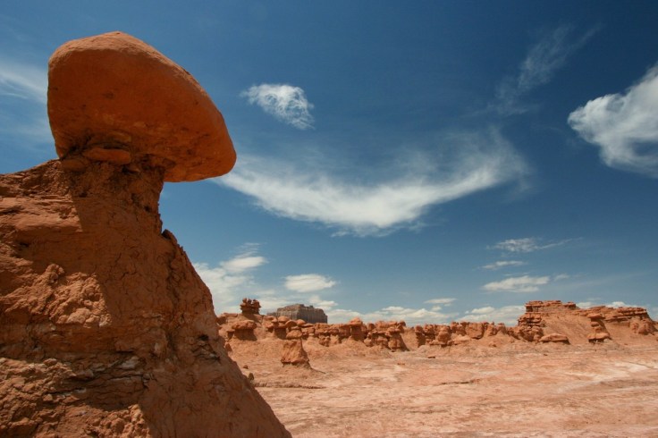 There are no established trails here. Wild Horse Butte lies on the horizon. 