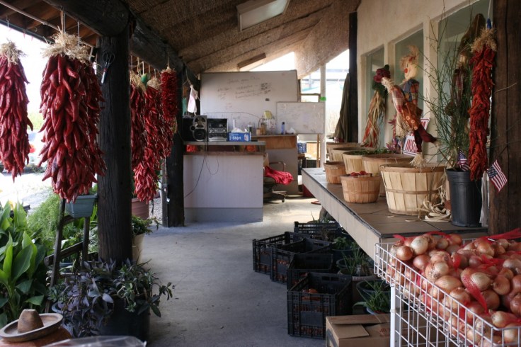 Gilly's roadside operation