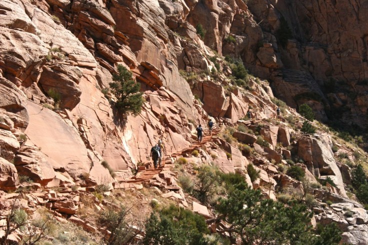 The climb back to the rim