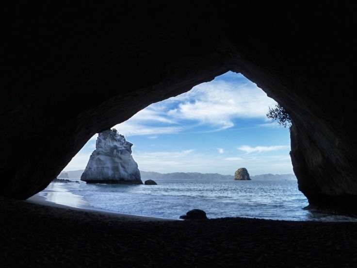 cathedral cove tour-2