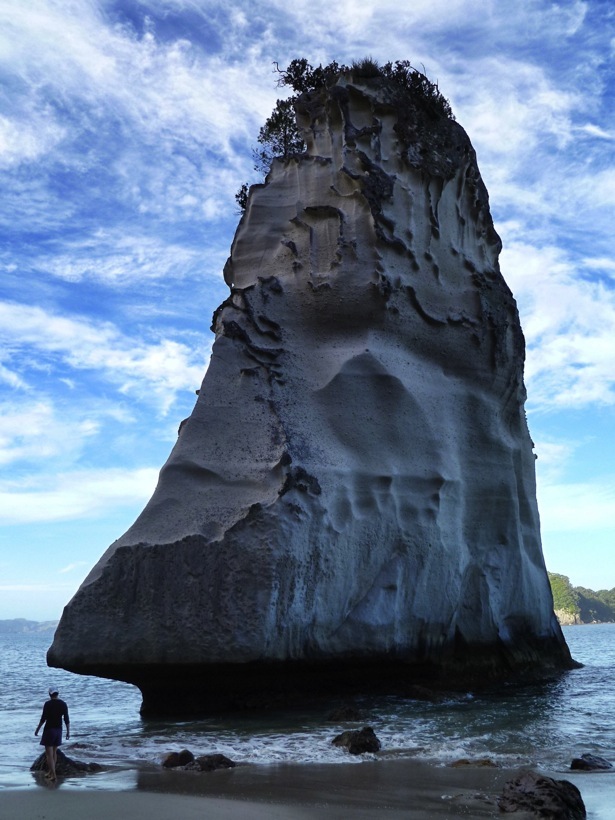 cathedral cove tour-3