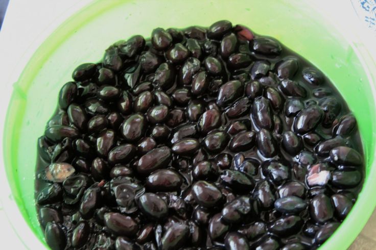 Kuromame (sweet simmered black soy beans)