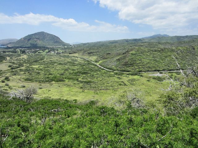 Along the trail, you can see the highway and Koko Head