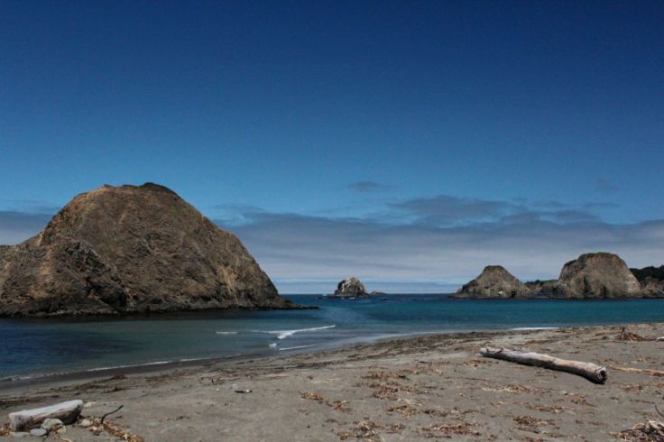 Sea stacks in Elk Cove