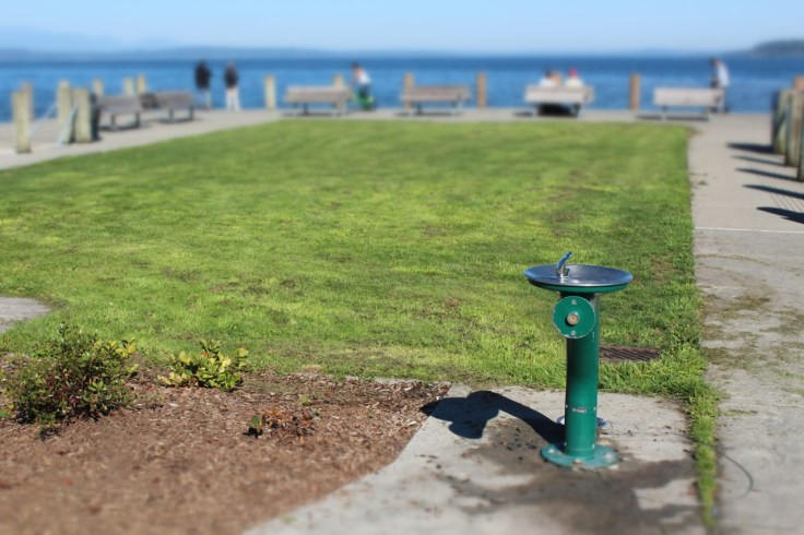 All that remains of the Luna Park Natatorium