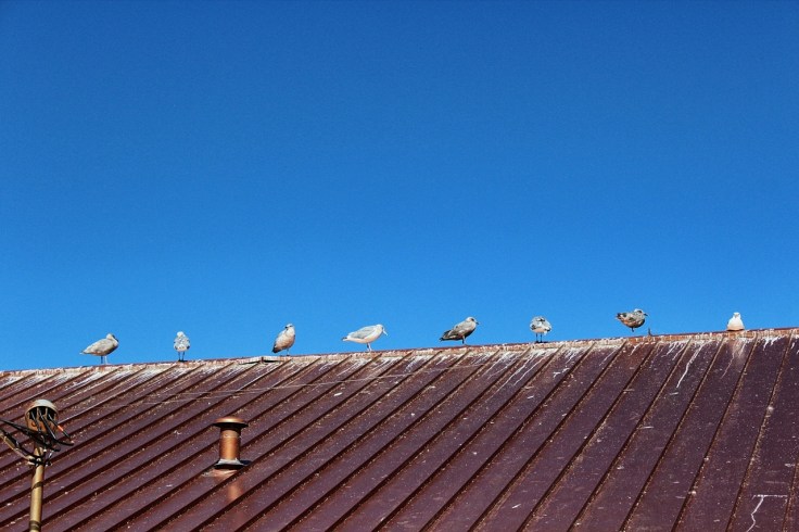Alki Bathhouse is now used for private functions