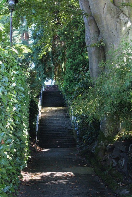 Stairway at Galer and 8th