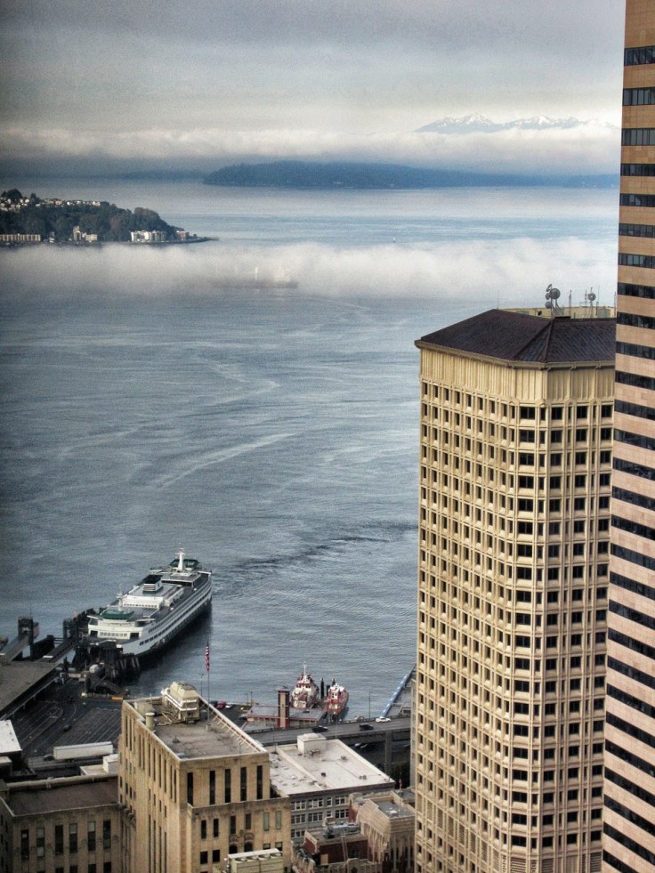view from starbucks columbia center