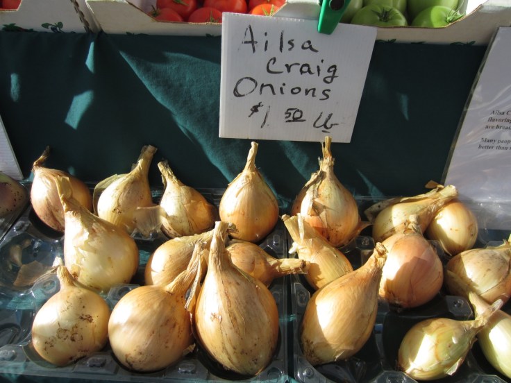 Ailsa Craig onions