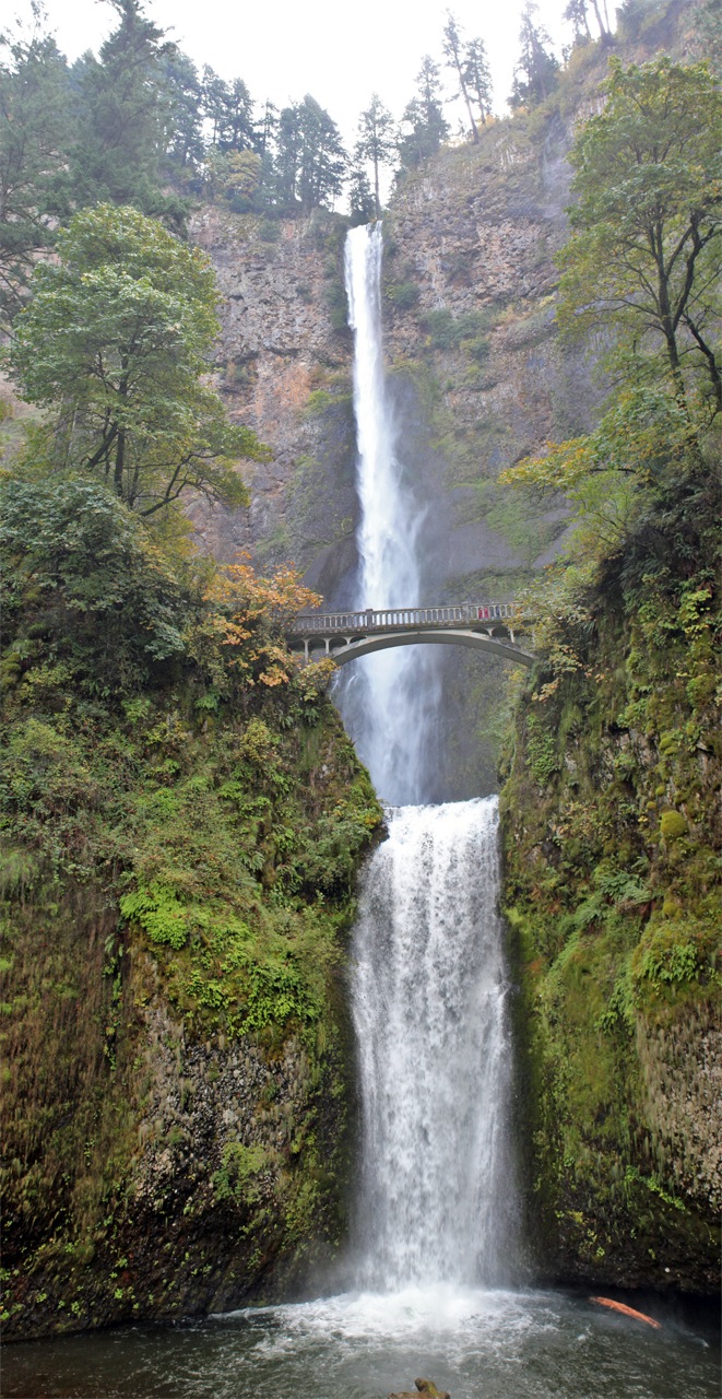 multnomah falls