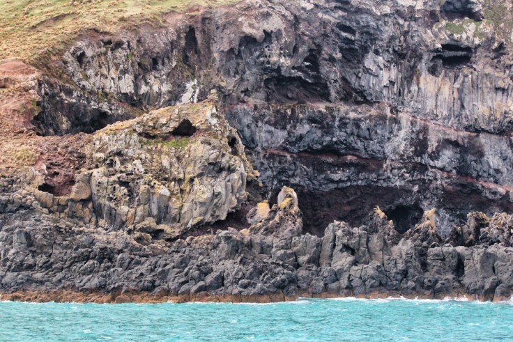 The Banks Peninsula experienced many lava flows.
