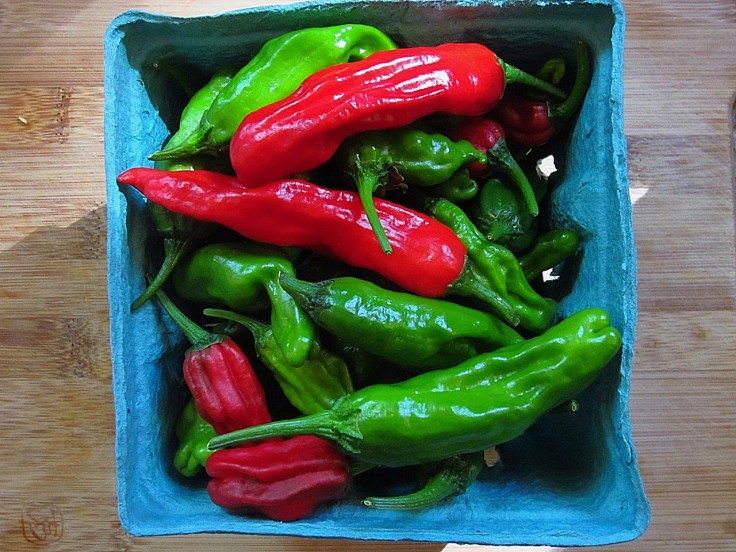 Shishito peppers