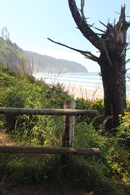 South Trail, Cape Lookout State Park, View toward Cape Kiwanda
