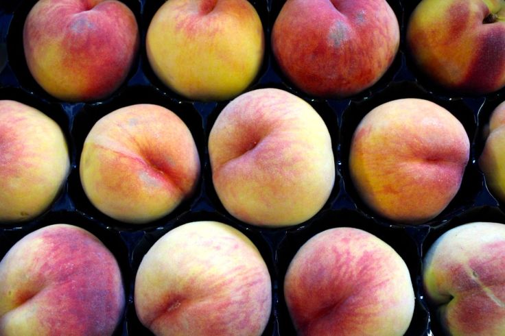 red haven peaches