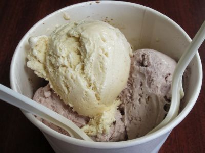 5 Scoop Sampler Dish