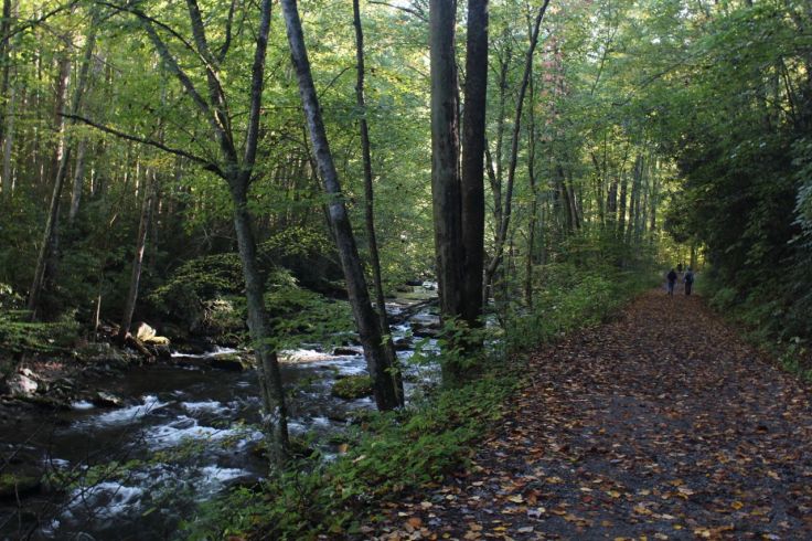 A wide gravel path parallels Little River