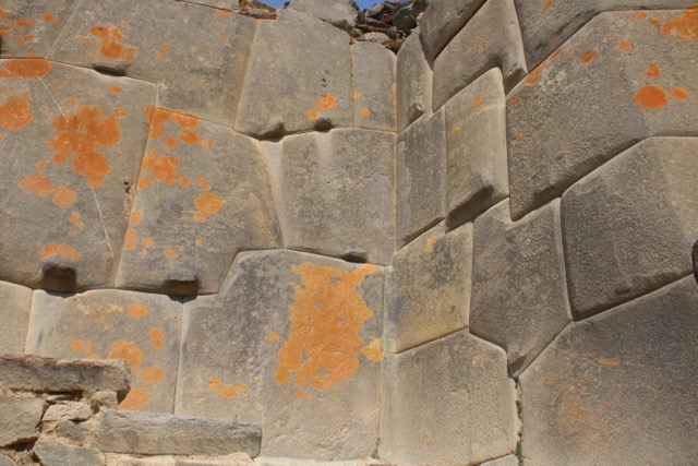 Lichen growth on Uran Pacha period stones, Ollantaytambo