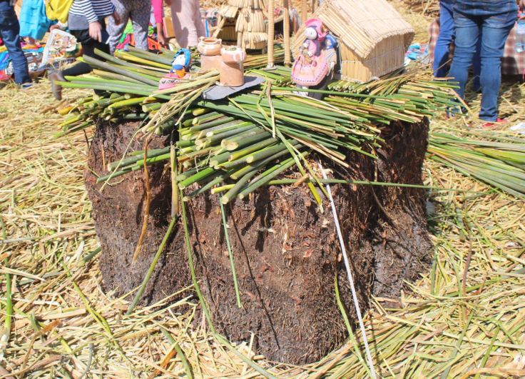 Rotting reed foundation needs to be topped with new reeds often.
